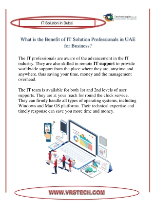What is the Benefit of IT Solution Professionals in UAE for Business?