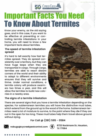 Houston Termite Control | Termite Inspection Houston