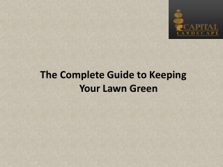 The Complete Guide to Keeping Your Lawn Green