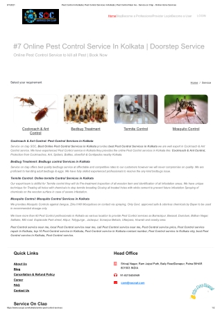 Pest Control Services in Kolkata Call