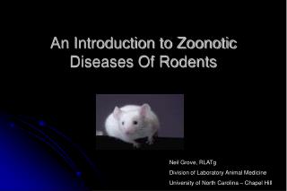 An Introduction to Zoonotic Diseases Of Rodents