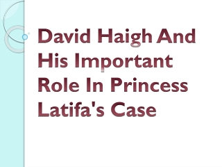 David Haigh And His Important Role In Princess Latifa's Case