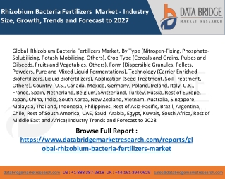 Market Analysis and Insights : Global Rhizobium Bacteria Fertilizers Market