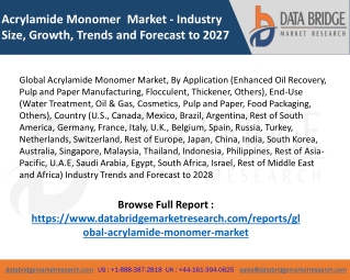 Acrylamide Monomer Market – Industry Trends and Forecast to 2028