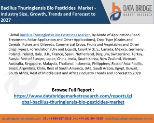Bacillus Thuringiensis Bio Pesticides Market - Industry Trends and Forecast to 2