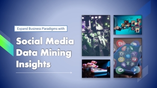 Expand Business Paradigms with Social Media Data Mining Insights