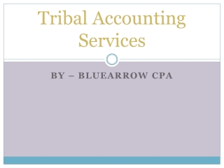 Top Rated Tribal Accounting Services – BlueArrowCPA