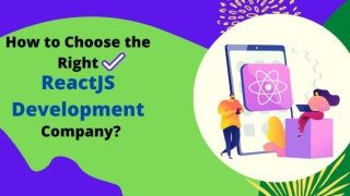 How to Choose the Right ReactJS Development Company