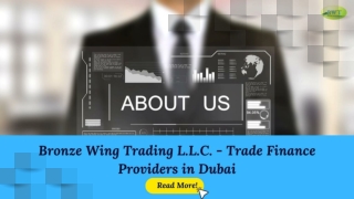 Best Trade Finance Company in Dubai – Bronze Wing Trading