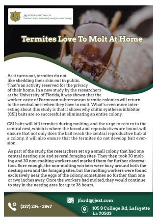 Deridder Termite Control | Houma Pest Control
