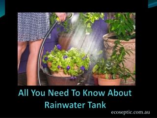 All You Need To Know About Rainwater Tank