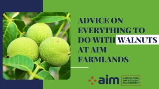 Advice on Everything to do with Walnuts at Aim Farmlands