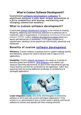 What is Custom Software Development