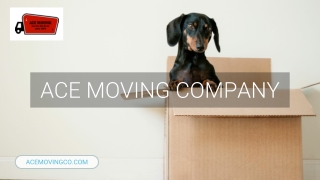 Movers San Jose