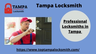 Professional Locksmith in Tampa