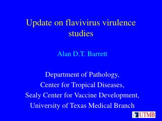 Update on flavivirus virulence studies