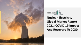 Nuclear Electricity Market Industry Analysis, Size, Share, Trends, Growth 2030