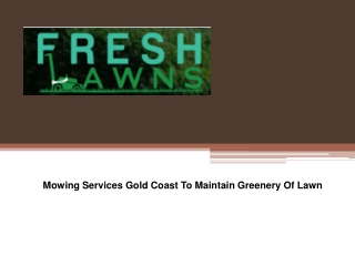 Mowing Services Gold Coast To Maintain Greenery Of Lawn