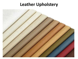 Leather Upholstery