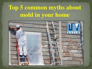 Top 5 common myths about mold in your home