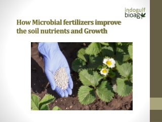 How Microbial fertilizers improve the soil nutrients