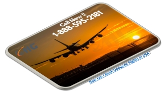 How can I Book Domestic Flights in USA?