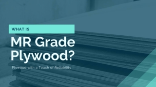 What is MR Grade Plywood