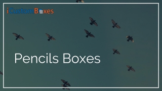 Pencils Boxes 02-09-2021