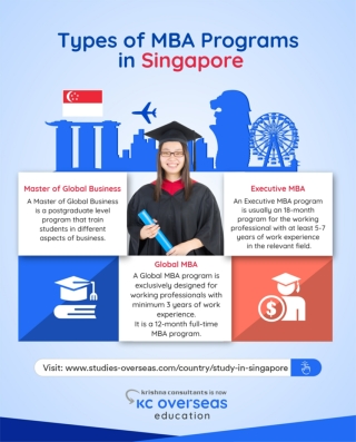 Types of MBA Programs in Singapore