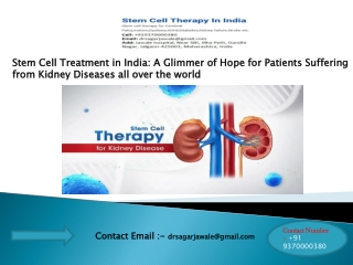 Stem Cell Treatment India - Stem Cell Therapy India