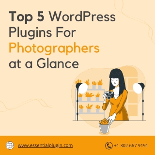Top 5 WordPress Plugins For  Photographers at a Glance