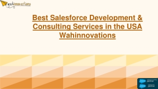 Best Salesforce Development & Consulting Services in the USA  Wahinnovations