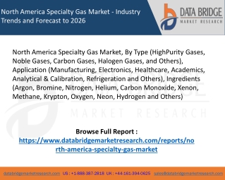 North America Specialty Gas Market - Industry Trends and Forecast to 2026