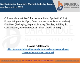 North America Colorants Market- Industry Trends and Forecast to 2026