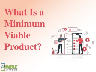 What Is a Minimum Viable Product?