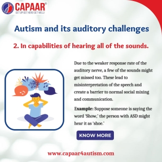 Autism and its auditory challenges reasons | Best Autism Treatment in Bangalore