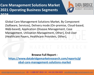 Care Management Solutions Market pdf