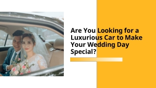 Luxury Dreams Limo Car on Rent for Weddings in Queensland