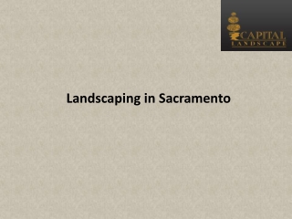 Landscaping in Sacramento