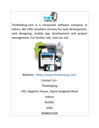 Indore Software Company | Thinkdebug.com