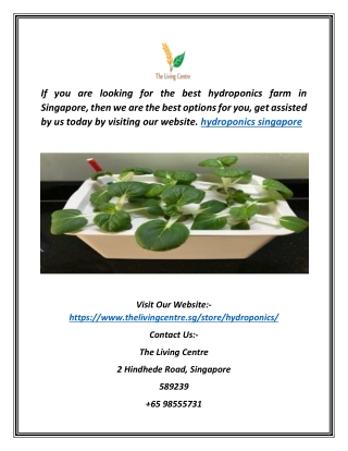 Hydroponics Singapore | Thelivingcentre.sg