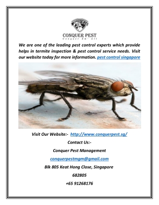 Pest Control Singapore | Conquer Pest