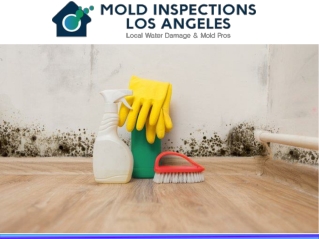 Mold Inspection And Testing