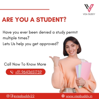 Best Study Immigration Consultants