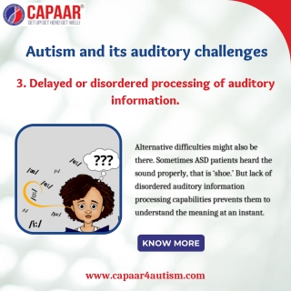 Autism and its auditory challenges reason - Best Autism Treatment in Bangalore