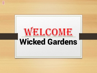 Get The Best Garden Maintenance in Saint John's
