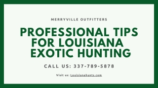 Professional tips for Louisiana exotic hunting