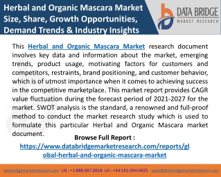 Herbal and Organic Mascara Market Industry Synopsis, Segment Analysis