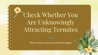 Check Whether You Are Unknowingly Attracting Termites