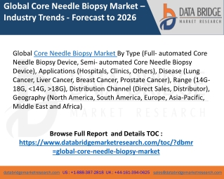 Core Needle Biopsy Market